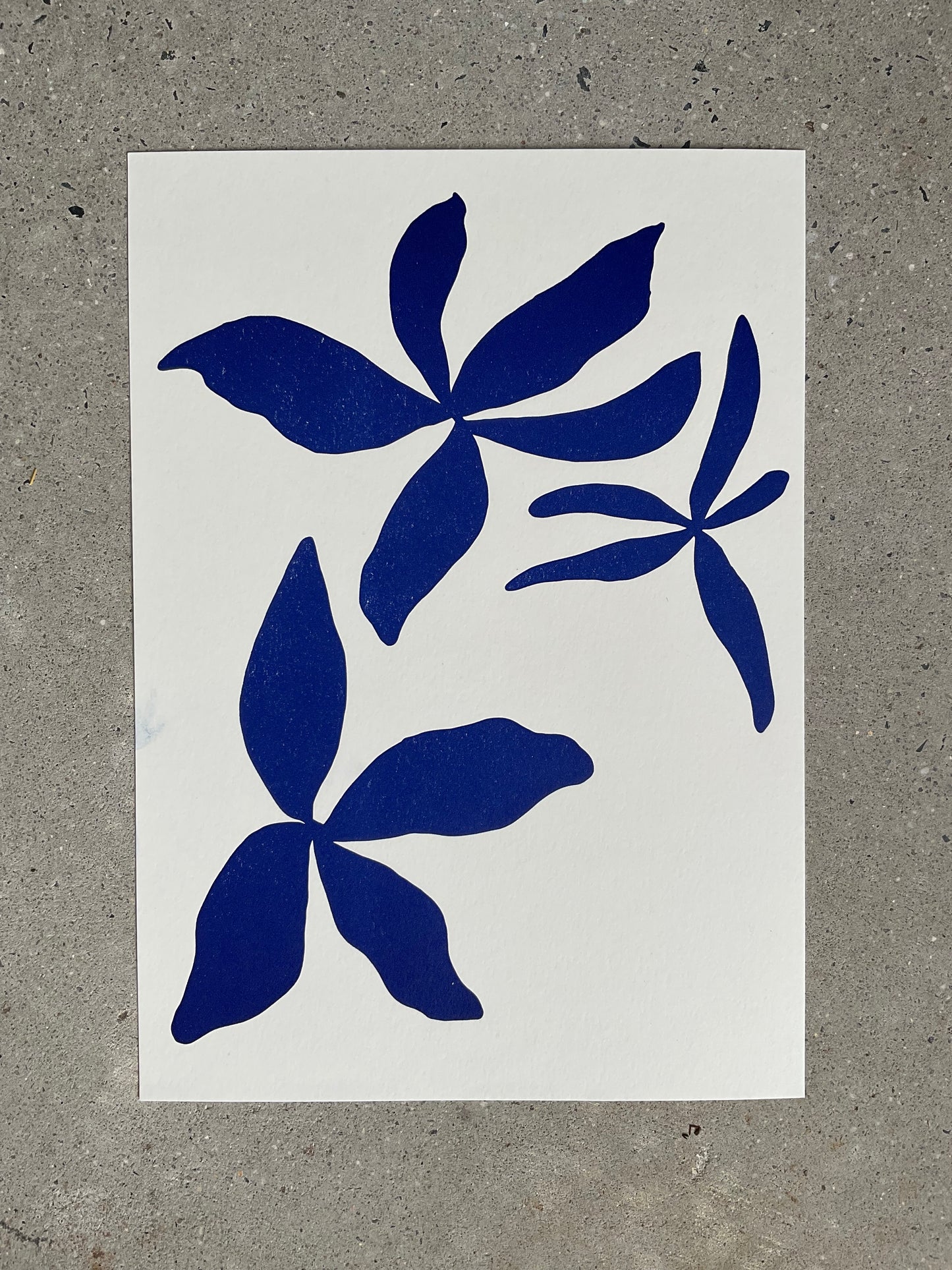 Bloom in Cobalt | A4 Letterpress Art Print in Cobalt Blue