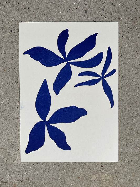 Bloom in Cobalt | A4 Letterpress Art Print in Cobalt Blue